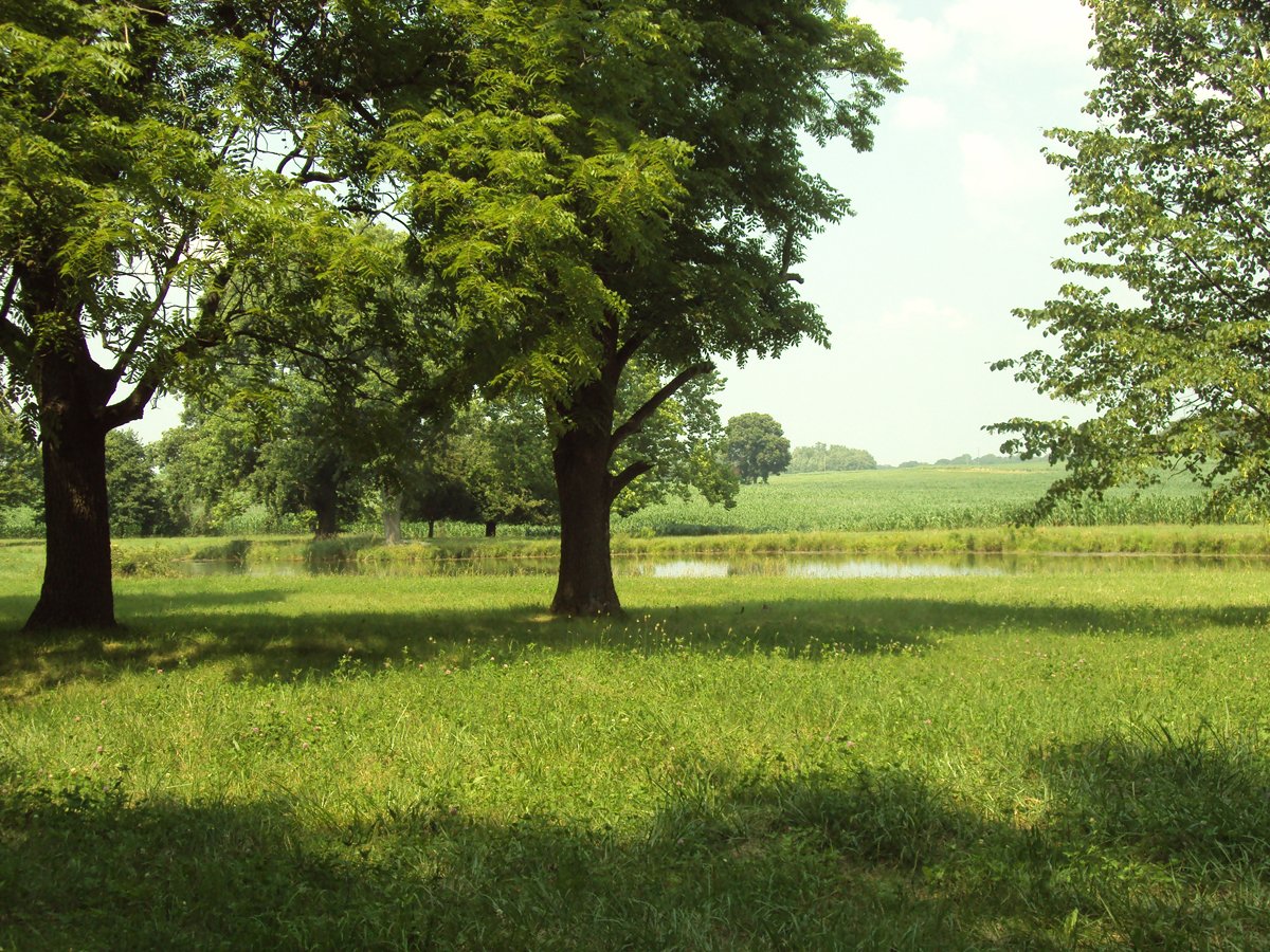Property photo 40 - 160 Acres Offered in 6 Tracts